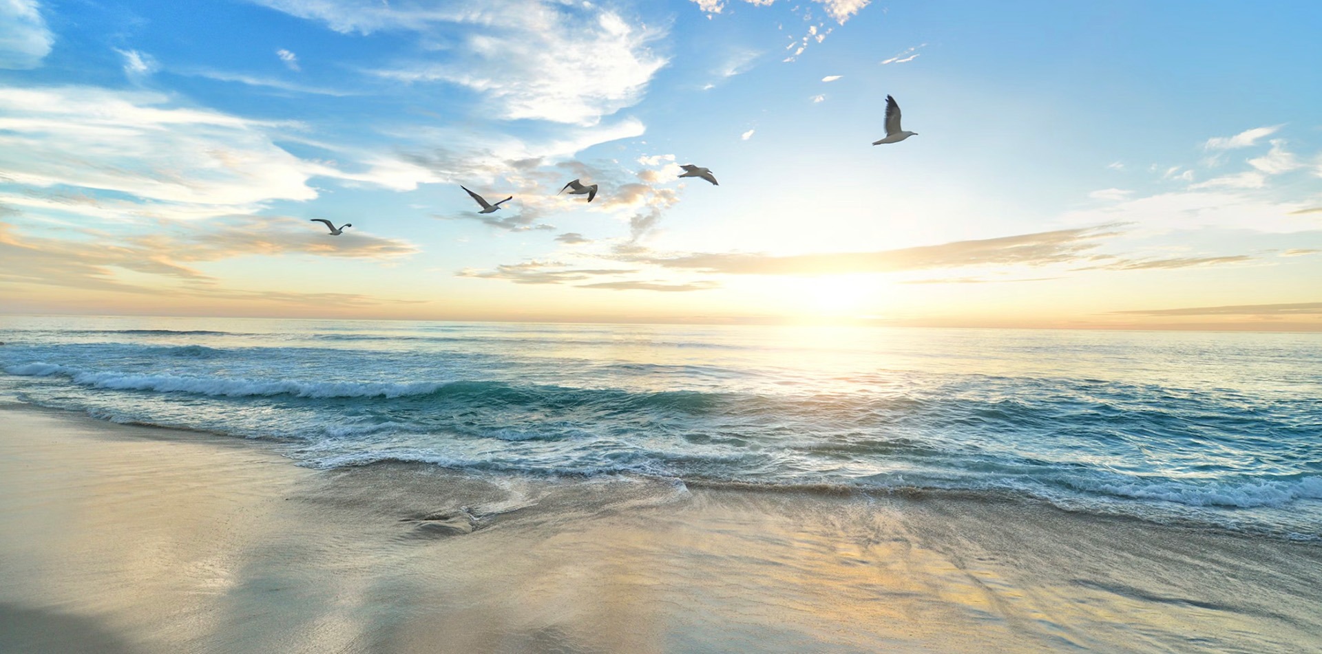 banner-img